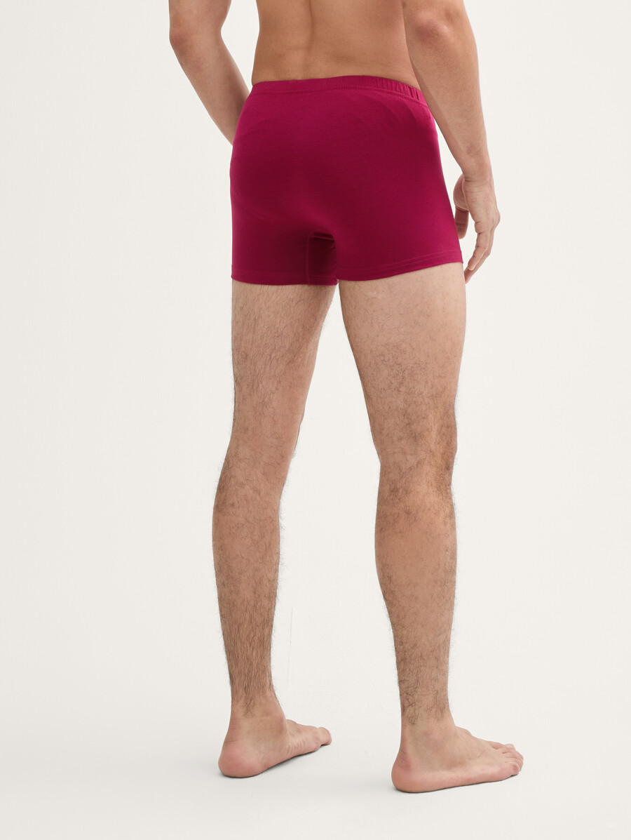 lot de 2 boxers courts